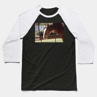 Clydesdale Baseball T-Shirt